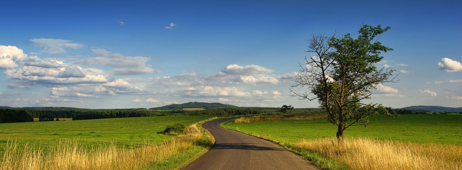 landscape 3127859 1920